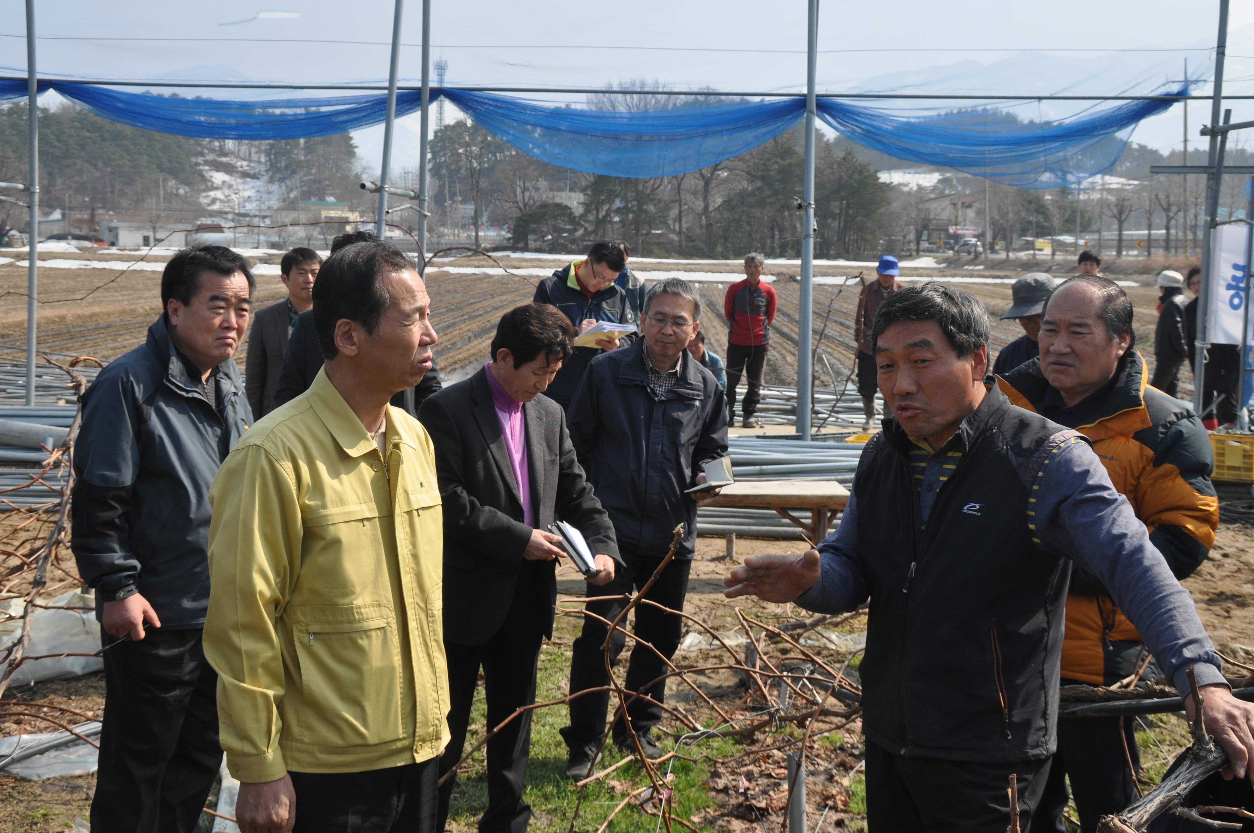 폭설피해 현장방문 대표 이미지