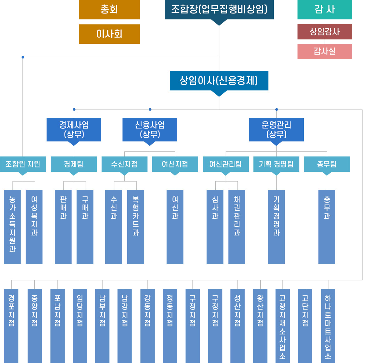 조직도