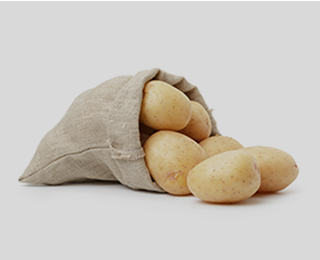 명품! 고랭지 감자 감자의꿈