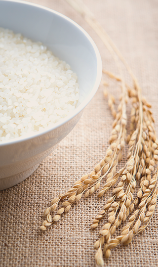 강릉의 대표브랜드 햇쌀가득